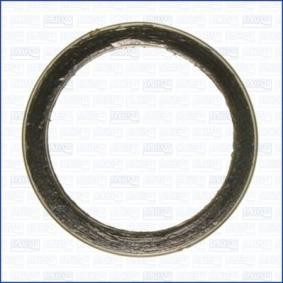 Dichtung, Abgasrohr 19005600