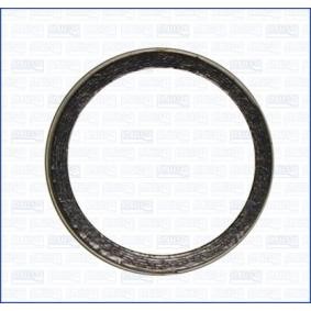 Dichtring, Abgasrohr 19006200