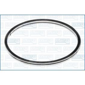 Dichtring, Abgasrohr 19006300
