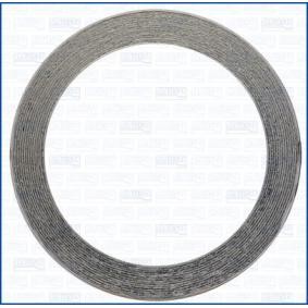 Dichtring, Abgasrohr 19007100