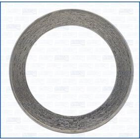 Dichtring, Abgasrohr 19008200