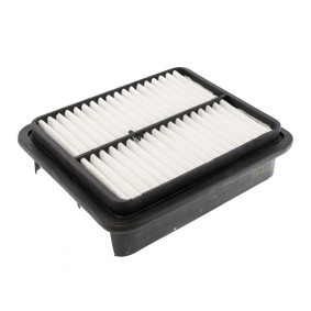 Luftfilter 1924-LF-PCS-MS