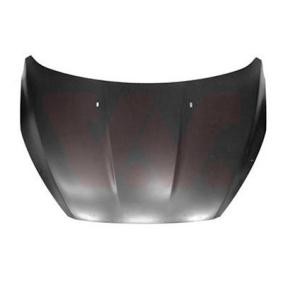 Acquista Cofano da VAN WEZEL 1947660 a buon mercato per soli 268,03 €