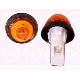 Blinker 20800550