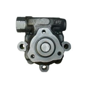 Servopumpe 53573 von SPIDAN günstig für 352,43 € online kaufen