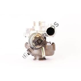 Acquista Turbina da TURBO´S HOET 2100798 a buon mercato per soli 1799,44 €