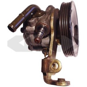 Servopumpe 54187