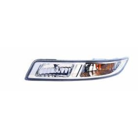 Blinker 215-1672L-AE
