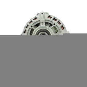 Lichtmaschine von BV PSH