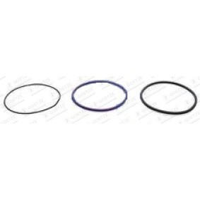Köp O-ringssats, cylinderfoder av GOETZE 24-35044-30/0 till det låga priset 198,47 kr