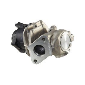 AGR-Ventil 6NU 010 171-111 für 206 SW (2E/K) für 109,46 CHF