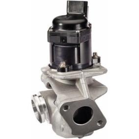AGR-Ventil 6NU 010 171-121 für 206 SW (2E/K) für 199,48 CHF
