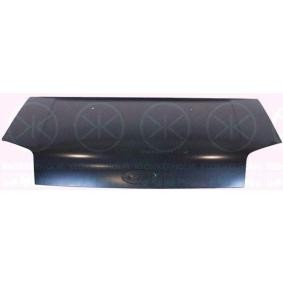 Motorhaube 2507280A1