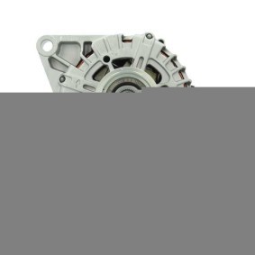 Lichtmaschine von BV PSH
