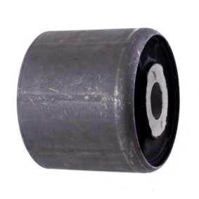 Achskörperlager 25927-PCS-MS