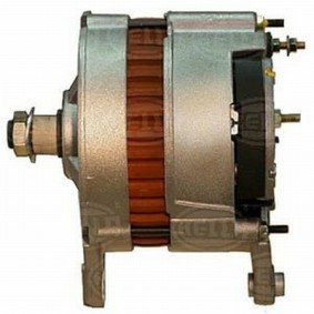 Lichtmaschine 8EL 725 882-001 von HELLA günstig für 371,86 € online kaufen