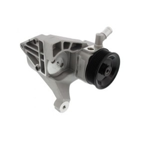 Acquista Pompa idraulica, sterzo da MAPCO 27041 a buon mercato per soli 238,78 €