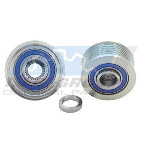 Acquista Dispositivo ruota libera alternatore da IJS GROUP 30-1013 a buon mercato per soli 39,13 €
