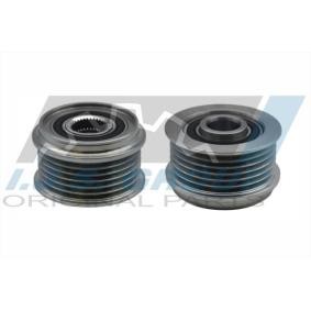 Achetez des Poulie roue libre, alternateur IJS GROUP 30-1095 à prix pour 33,92 €