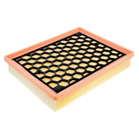 Luftfilter 30170/1-LF-PCS-MS