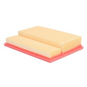 Luftfilter 30195/2-LF-PCS-MS