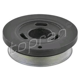 Achetez des Poulie damper (vilebrequin) TOPRAN 304 831 à prix pour 88,45 €