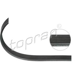 Achetez des Courroie Poly-V TOPRAN 304 919 à prix pour 14,85 €