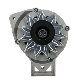 Lichtmaschine von BV PSH
