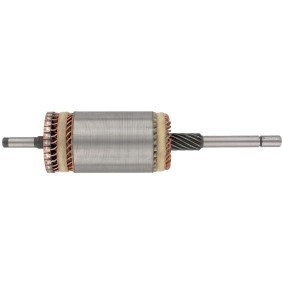 Lichtmaschine von BV PSH