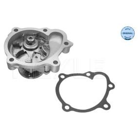 Achetez des Pompe à eau MEYLE 31-13 220 0013 à prix pour 60,52 €