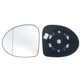 Spiegelglas, Außenspiegel 31255401