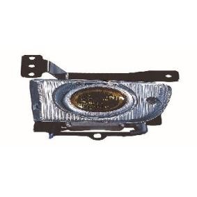 Nebelscheinwerfer 317-2002P-AQ-J
