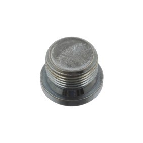 Ölablassschraube von FEBI BILSTEIN für Daily Line Bus günstig online kaufen