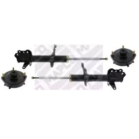 Stoßdämpfer-Set 40933