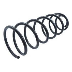 Köp Spiralfjäder av MASTER-SPORT 4095034-PCS-MS till det låga priset 357,37 kr