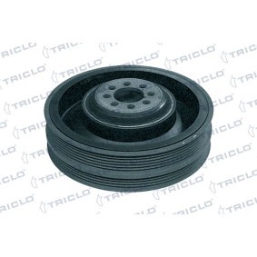 Acquista Puleggia cinghia albero a gomiti da TRICLO 423308 a buon mercato per soli 234,27 €