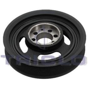Comprar Polea de cigüeñal de TRICLO 426155 a bajo precio de 93,09 €
