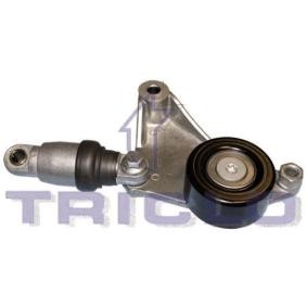 Comprar Tensor de correa poli V de TRICLO 426500 a bajo precio de 57,88 €