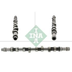 Compre Árvore de cames de INA online para 306 Cabriolet (7D, N3, N5) a preços moderados
