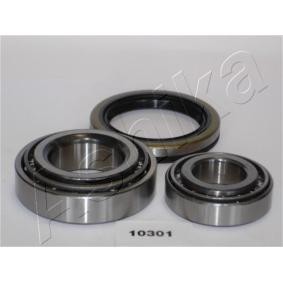 Radlagersatz 44-10301