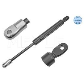 Köp Gasfjäder, motorhuv av MEYLE 440 160 3065 till det låga priset 219,11 kr