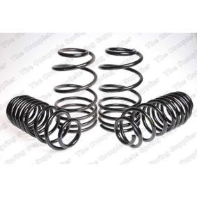 Acquista Kit autotelaio, molleggio da LESJÖFORS 4514904 a buon mercato per soli 195,62 €