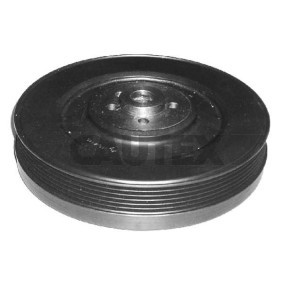 Acquista Puleggia cinghia albero a gomiti da CAUTEX 460958 a buon mercato per soli 268,19 €