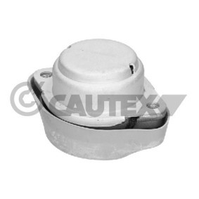 Achetez des Suspension, boîte de vitesse manuelle CAUTEX 461147 à prix pour 39,74 €