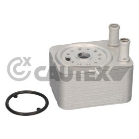 Acquista Radiatore olio motore da CAUTEX 462525 a buon mercato per soli 108,57 €