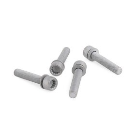 Bremssattelschraube 48817