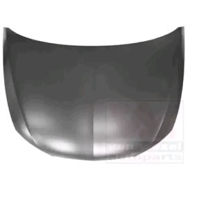 Motorhaube 4946660