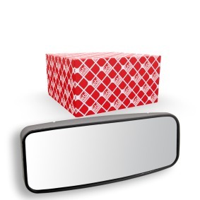 Spiegelglas, Außenspiegel 49953