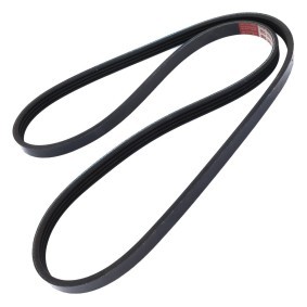 Keilrippenriemen von MASTER-SPORT für A4 Cabrio (8H7, B6, 8HE, B7) günstig online kaufen