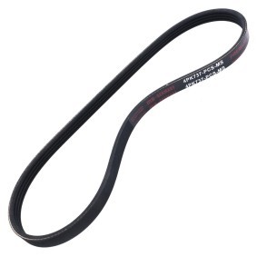 Osta Moniurahihna MASTER-SPORT:llä 4PK737-PCS-MS edullisesti hintaan 7,00 €